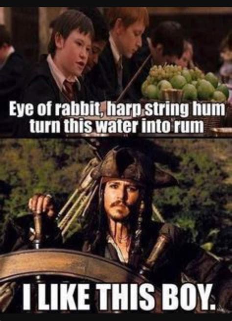 Pirates Of The Caribbean Memes | Pirates of the Caribbean Amino