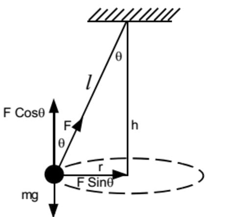 diagram- conical pendulum - Brainly.in