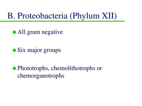 PPT - Prokaryotic microbes PowerPoint Presentation, free download - ID:2983581