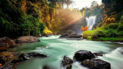 HD wallpaper: waterfall, jungle, river, bali, indonesia, dom, motion, scenics - nature ...