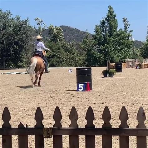 Throwback to our first show at El Campeon Farms! Just 5 days away until our Spring shows!🤩 ...