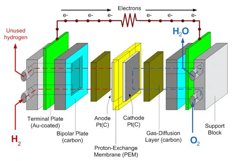 [DIAGRAM] Enzymatic Fuel Cell Diagram - MYDIAGRAM.ONLINE