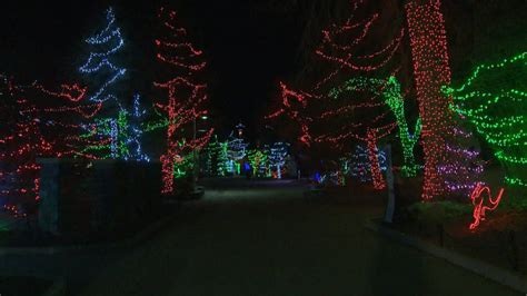 Calgary Zoolights 1/4