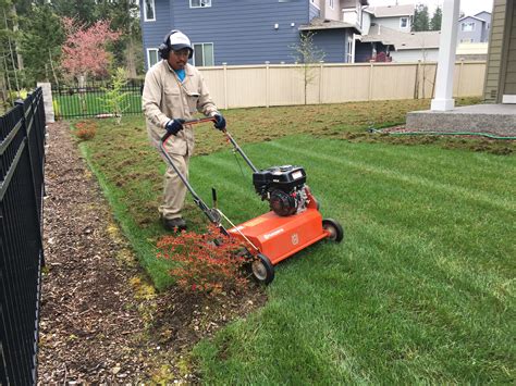 Lawn Thatching - Barefoot Lawn | DuPont and Olympia Lawn Care