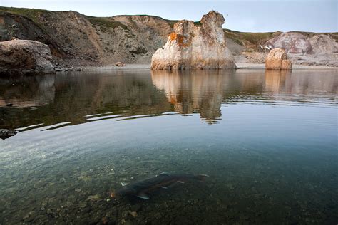 10 largest nature reserves of Russia (PHOTOS) - Russia Beyond