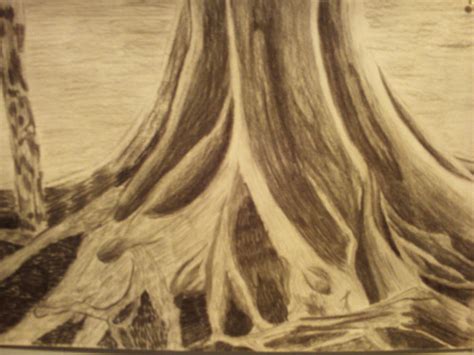 Buttress Roots by PrincessBelladona on DeviantArt