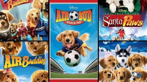 All 14 'Air Bud' Movies in Order: The Complete Chronological Guide