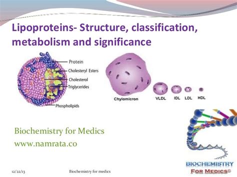 Lipoproteins- structure, classification, metabolism and clinical sign…