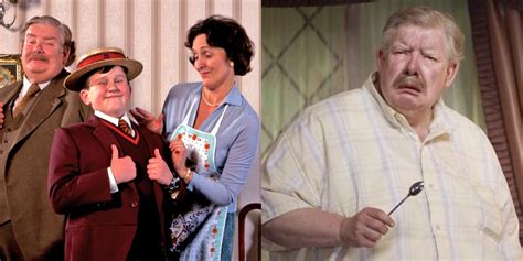 Harry Potter: 8 Dursley Memes That Sum Up Their Role In Each Movie