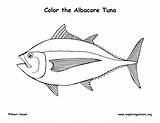 Tuna Fish Coloring Sheets Pages sketch template
