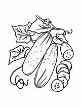 20  Cucumber Coloring Page LyallMalissa sketch template