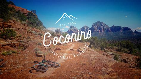 Everything You Need to Know About Mountain Biking Coconino National Forest - Singletracks ...