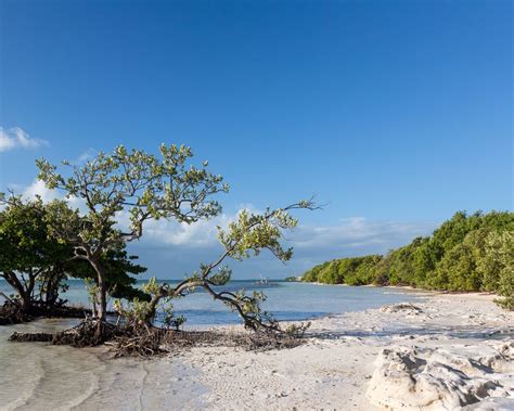 Islamorada Beaches| Best Public and Private Spots - Snorkel and Hike