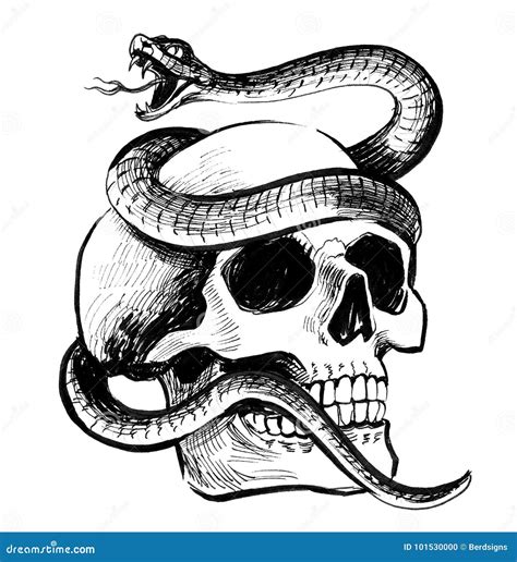 Skull and snake stock illustration. Illustration of bone - 101530000