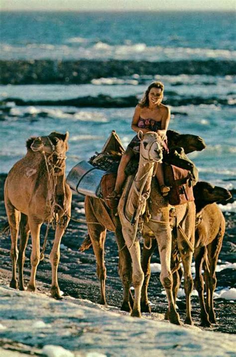 Pin on Camels