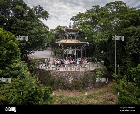 Tijuca rain forest hi-res stock photography and images - Alamy