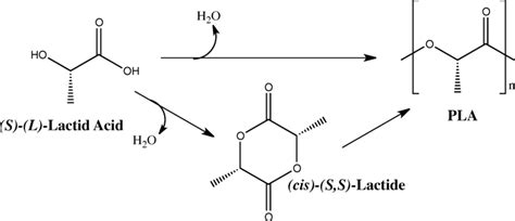 Polymerization reaction scheme | Download Scientific Diagram