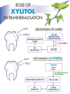 PCxx Dental Fluorides: The Benefits of Xylitol