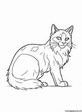 Warrior Cats Graystripe Coloring Page  Free Printable Pages sketch template