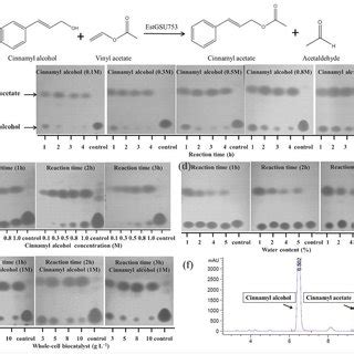 Quantitative analysis of cinnamyl acetate synthesis. (a) Effect of... | Download Scientific Diagram