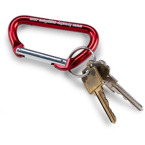 Key Ring Mini Carabiner