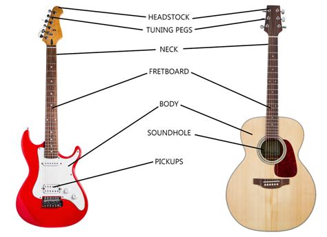 The Anatomy of a Guitar: Understanding the Different Parts