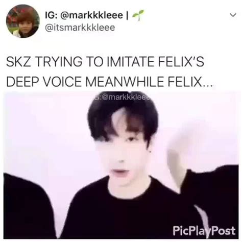 SKZ TRYING TO IMITATE FELIX'S DEEP VOICE MEANWHILE FELIX... - iFunny