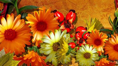 Free Fall Flowers Desktop Backgrounds | Best Flower Site