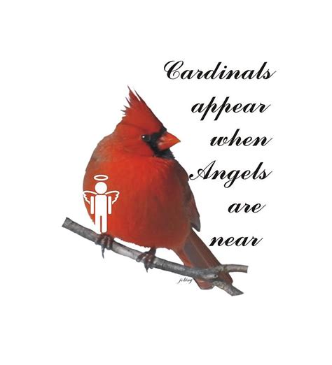 Digital Art Digital Art - Cardinals And Angels by Jacquie King Phrase ...