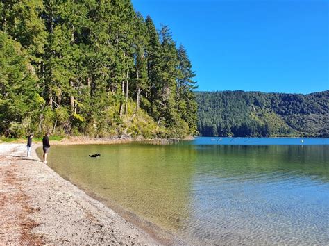 THE BLUE LAKE WALK IN ROTORUA | CHUR NEW ZEALAND