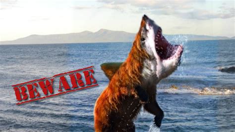 Bearshark BEWARE Wallpaper 1600 x 900 by DangerousDeven on DeviantArt