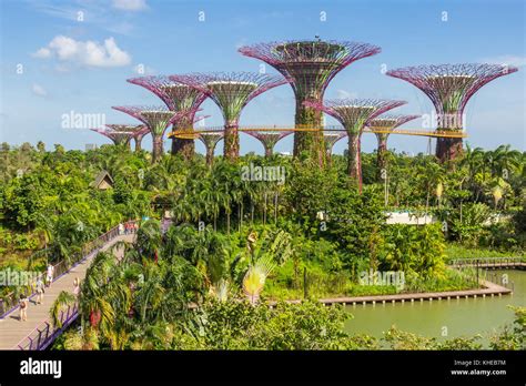 Gardens by the Bay | Singapore Stock Photo - Alamy