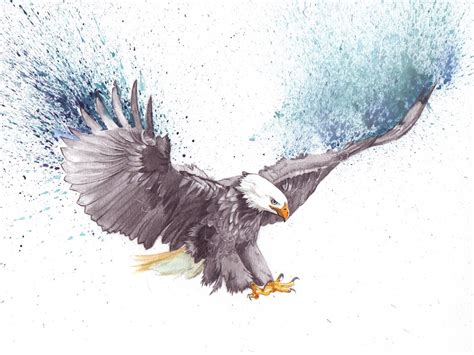 Flying Eagle Pencil Drawing at GetDrawings | Free download