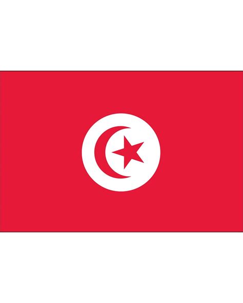 Tunisia Flag 3 x 5 ft. Indoor Display Flag
