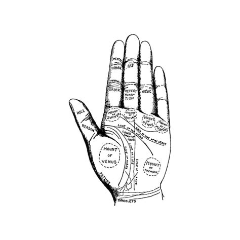 Antique Digital Palmistry Hand Vector Clipart Vintage - Etsy