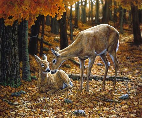 Whitetail Deer - Autumn Innocence 2 Painting by Crista Forest - Fine Art America