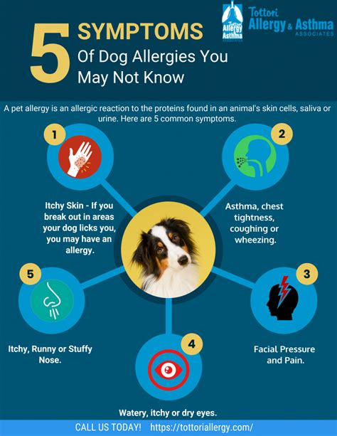 5 Symptoms of Dog Allergies You May Not Know - Tottori Allergy & Asthma Associates