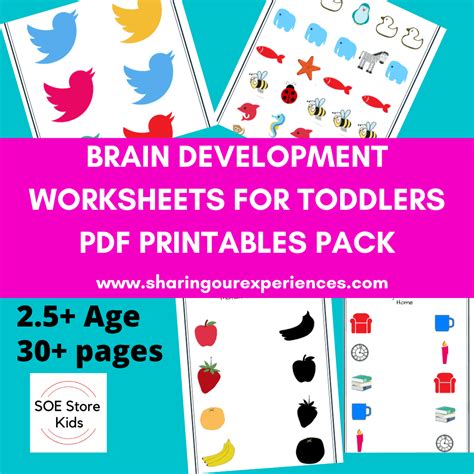 Multiple Brain Development Worksheets Activities for toddler pdf downloadable - Sharing Our ...