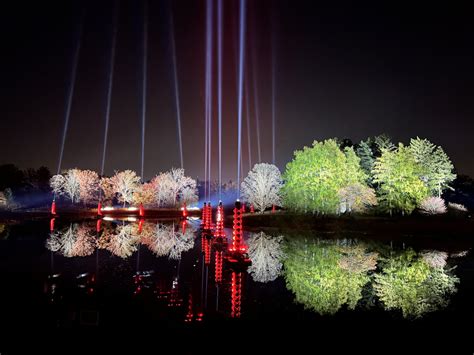 10th year of Illumination: Tree Lights at The Morton Arboretum | The Morton Arboretum