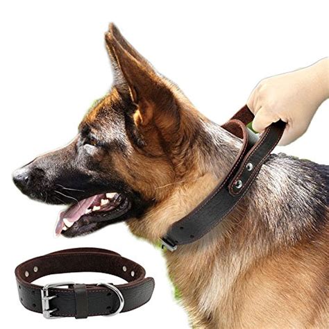 The 8 Best Leather Dog Collars for Chic, Long-Lasting Style