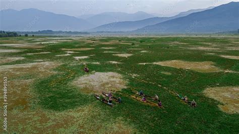 Dal Lake, Kashmir, India Stock Photo | Adobe Stock