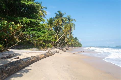 THE BEST Libreville Beaches (Updated 2024) - Tripadvisor