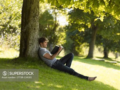 Boy reading under a tree - SuperStock