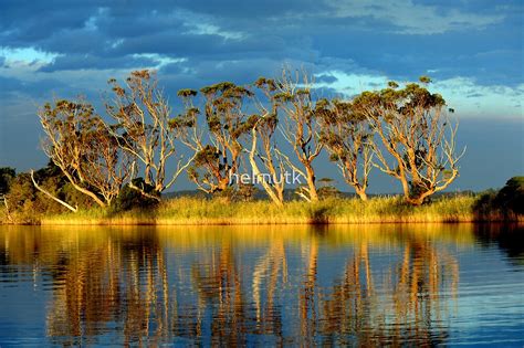 "" Snowy River " Marlo Australia " by helmutk | Redbubble