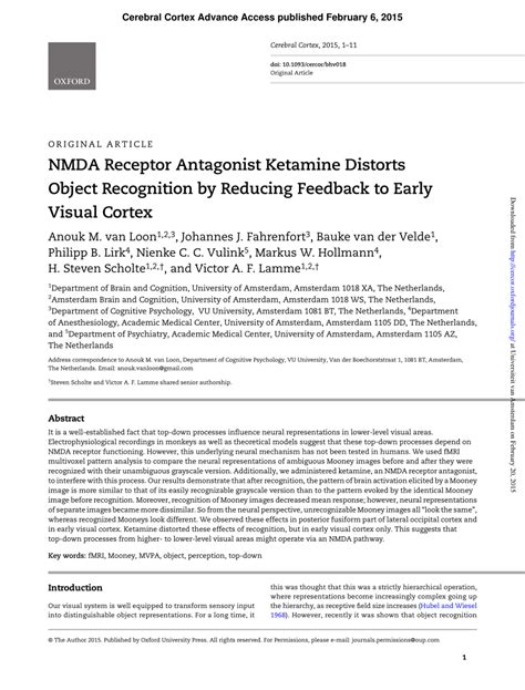 (PDF) NMDA Receptor Antagonist Ketamine Distorts Object Recognition by ...