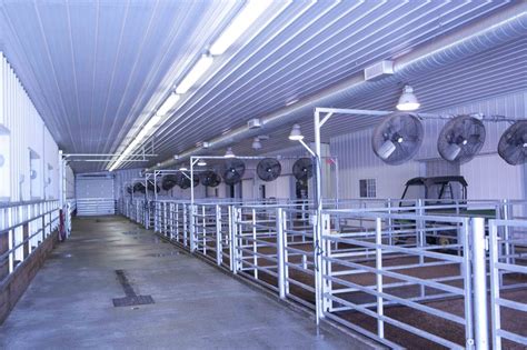 Morton show barn idea | Cattle barn, Cattle barn designs, Livestock barn