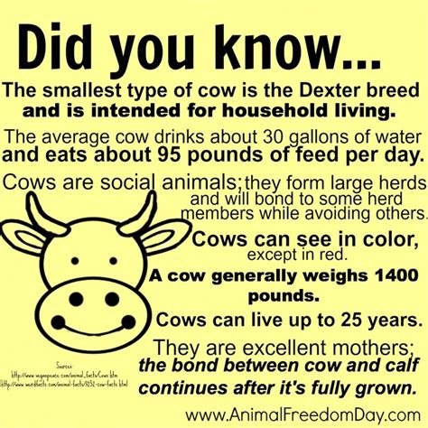 All about cows - (via Animal Freedom Day on Facebook) | Fun facts for ...