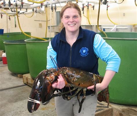 endorphin-high: The beast in the photo is Rocky,... | Biggest lobster, Giant lobster, Largest ...