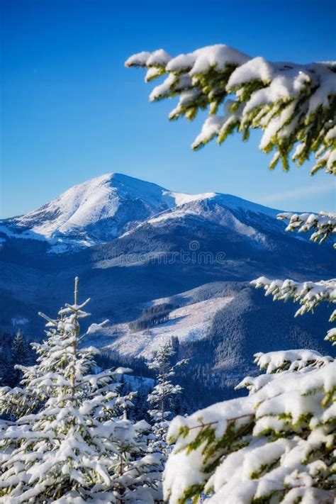 Carpathian Mountains at Winter Stock Image - Image of cold, outdoor: 125829759