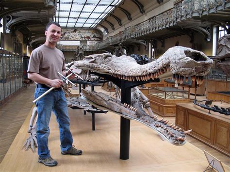 Sarcosuchus | Royal Tyrrell Museum | Flickr